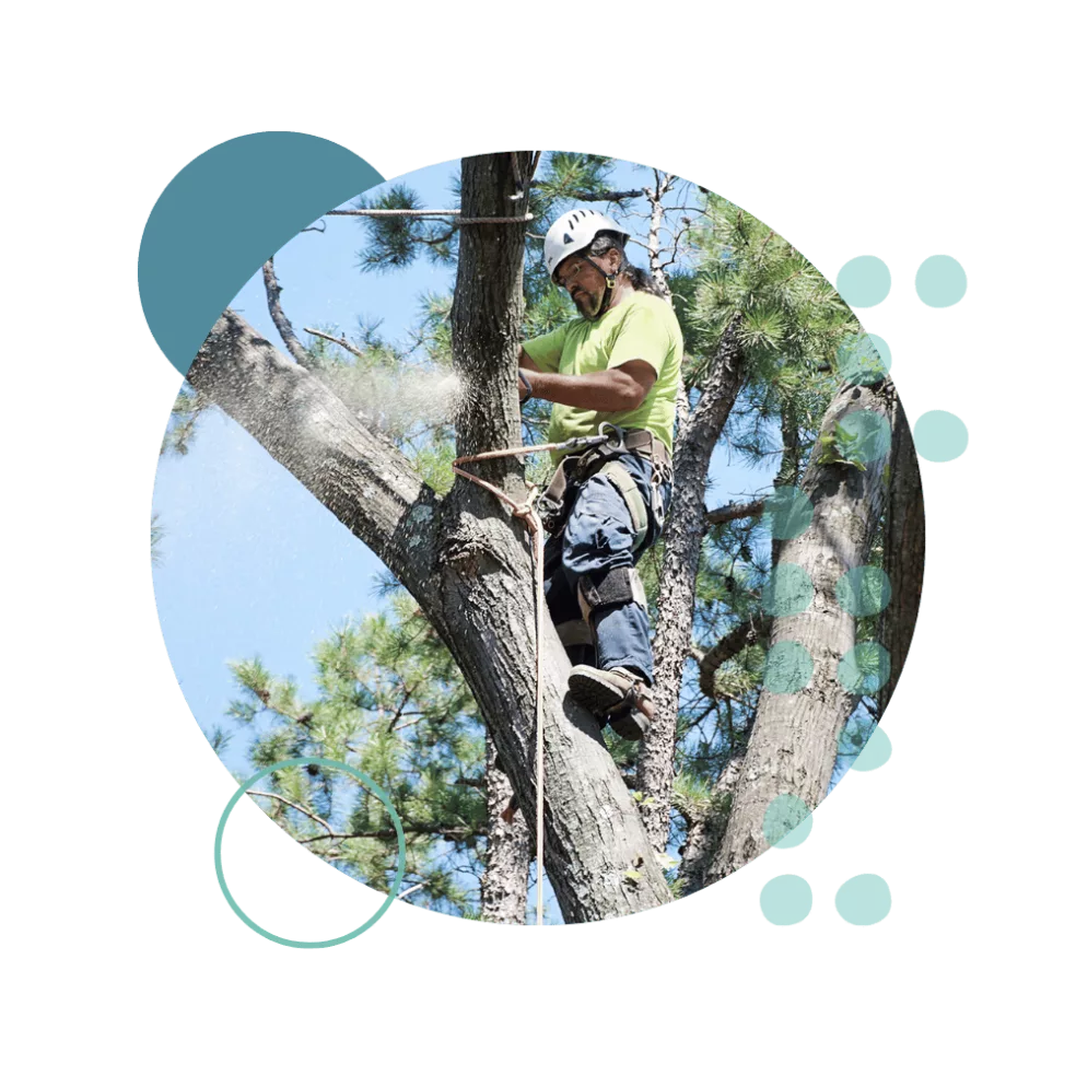 Construction Case Study Image